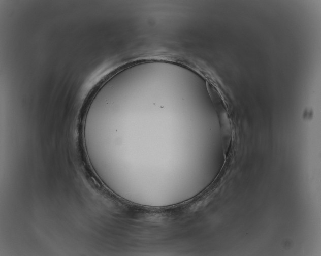 X0000091970344200710041053