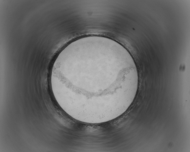 X0000091970346200710041053