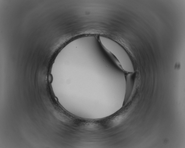 X0000091970348200710041053