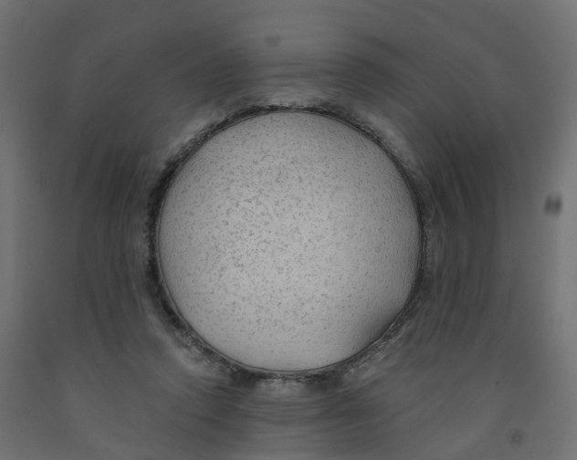 X0000091970354200710041053