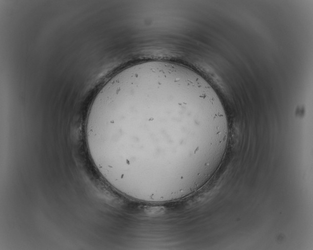 X0000091970355200710041053