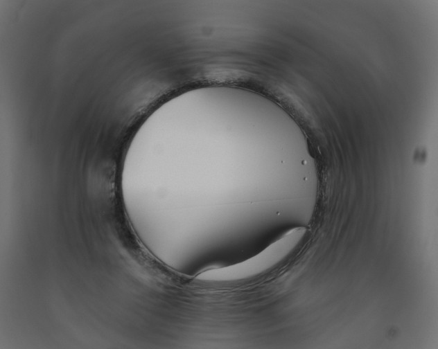 X0000091970356200710041053