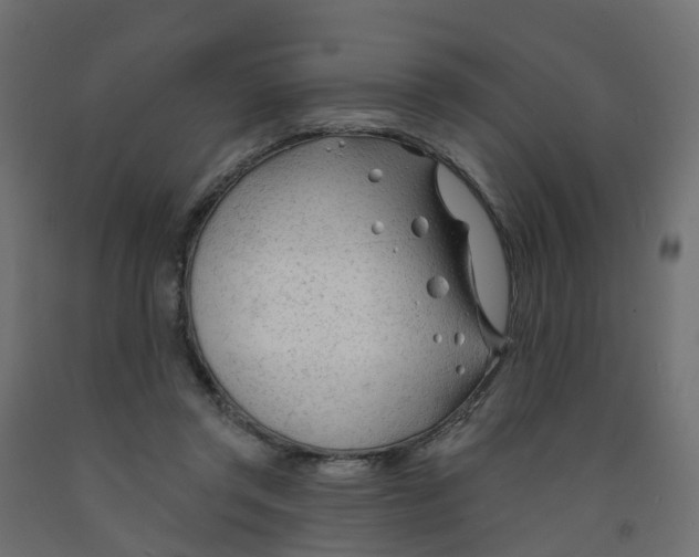 X0000091970357200710041053