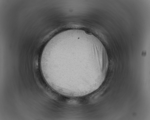 X0000091970358200710041054