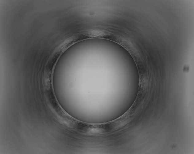 X0000091970360200710041054