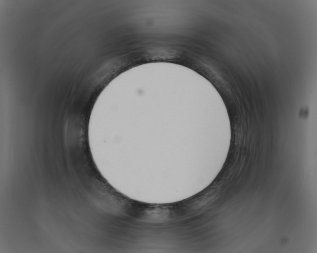 X0000091970362200710041054