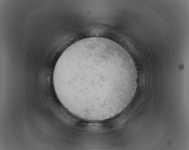 X0000091970363200710041054