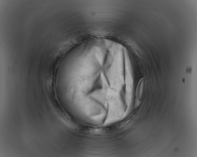 X0000091970365200710041054
