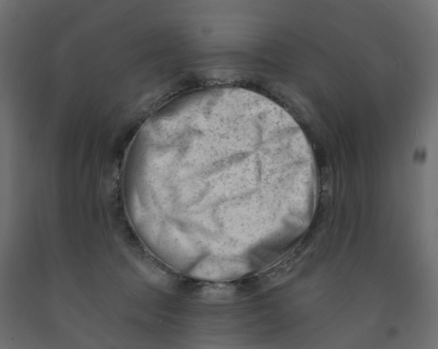 X0000091970369200710041054