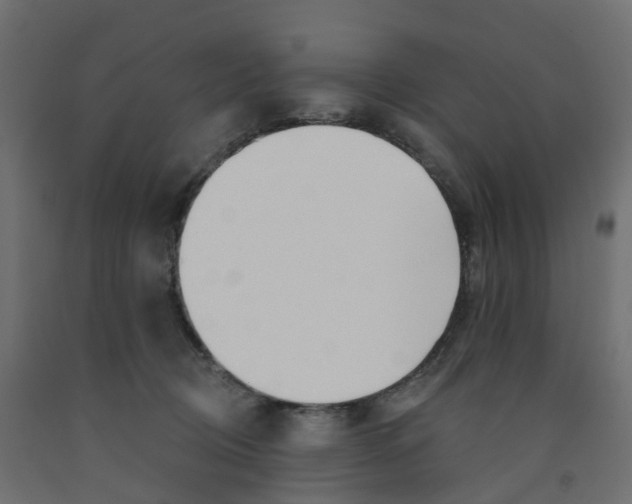 X0000091970370200710041054