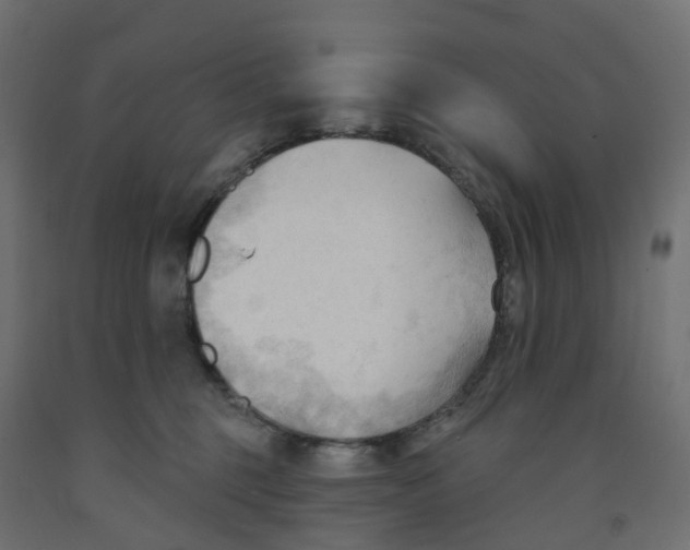 X0000091970375200710041054