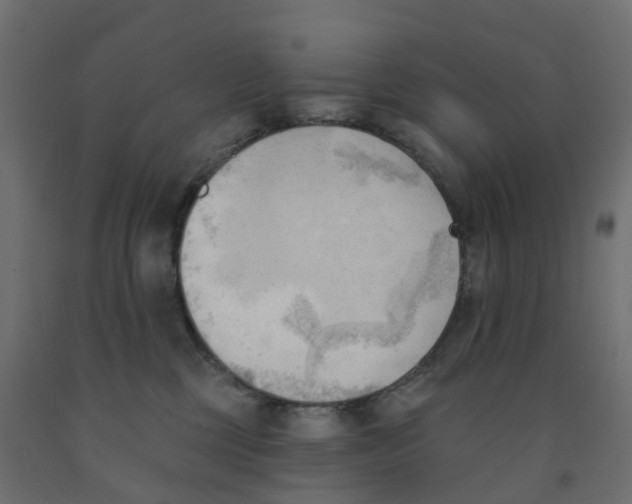 X0000091970377200710041054