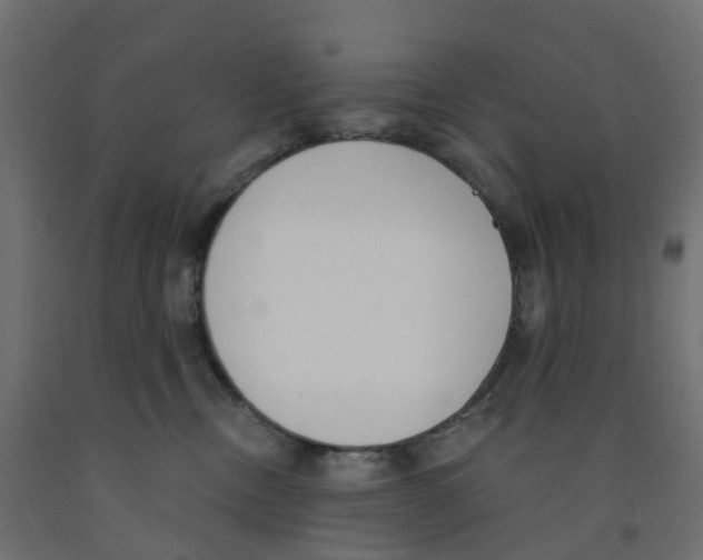 X0000091970378200710041054