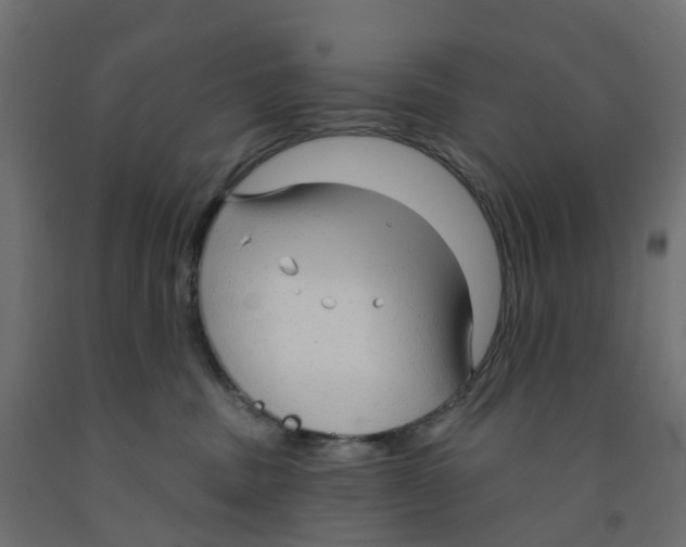 X0000091970379200710041054
