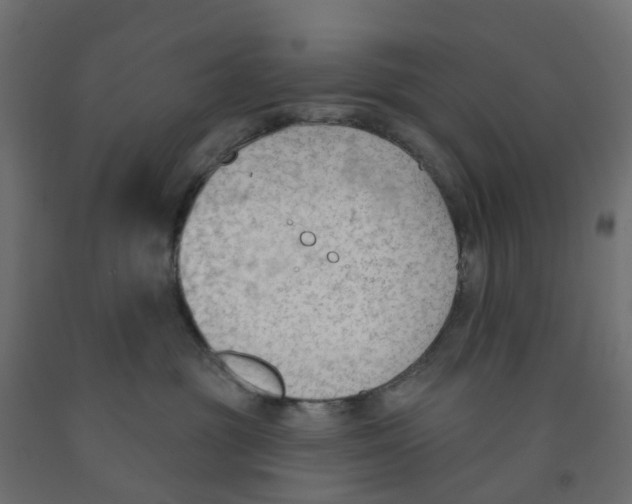 X0000091970381200710041054