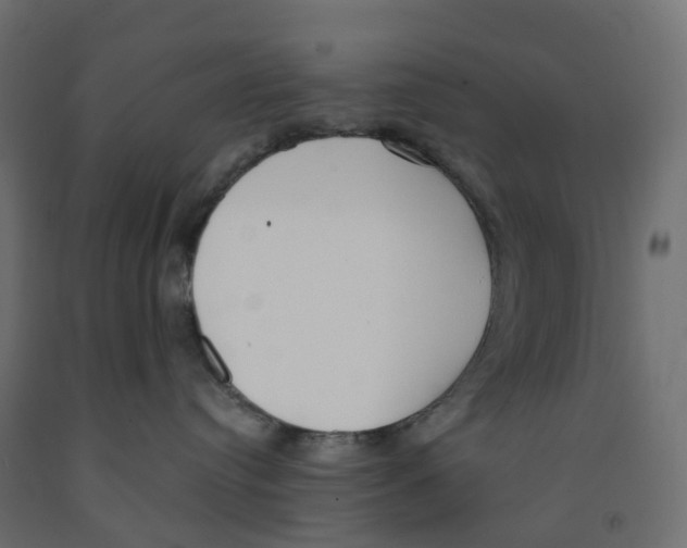 X0000091970384200710041054