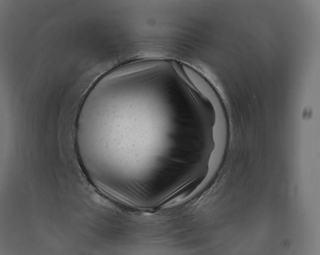 X0000091970385200710041053