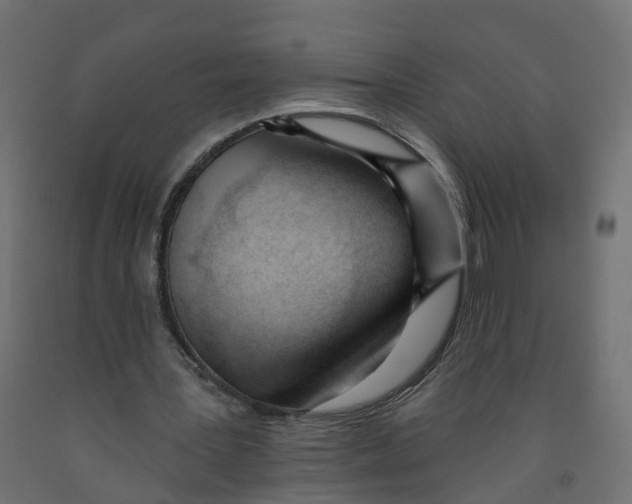 X0000091970387200710041053