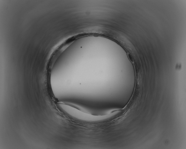 X0000091970388200710041053
