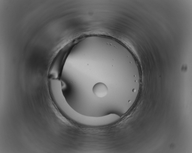 X0000091970389200710041053