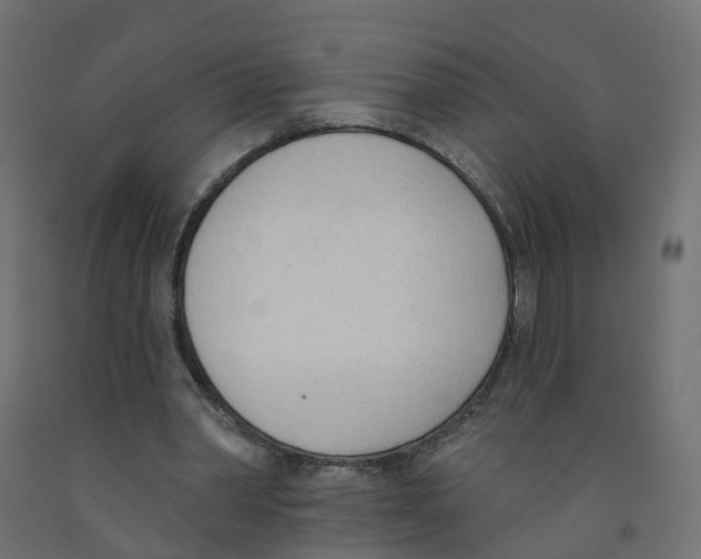 X0000091970390200710041053