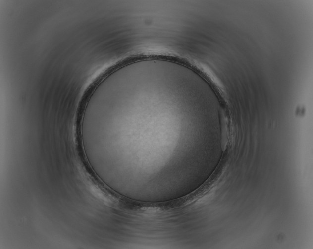 X0000091970391200710041053