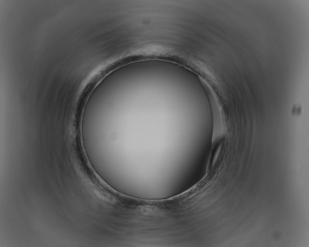 X0000091970392200710041053
