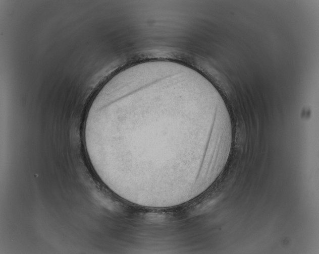 X0000091970394200710041053