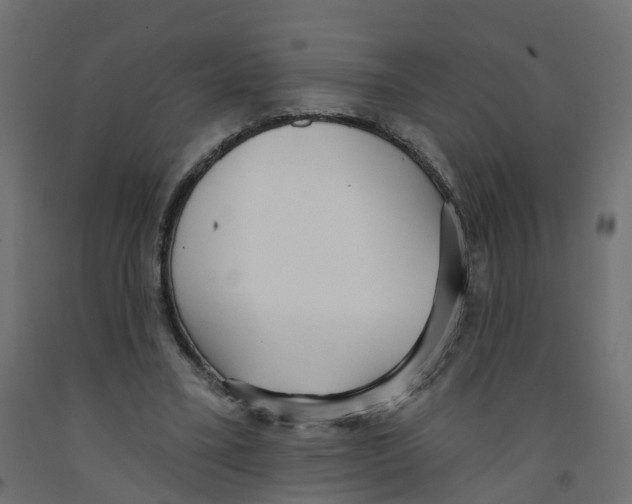 X0000091970395200710041053