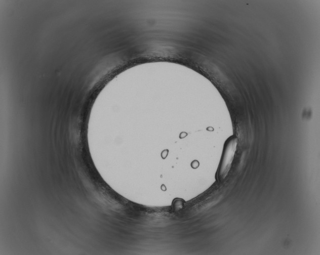 X0000091970396200710041053