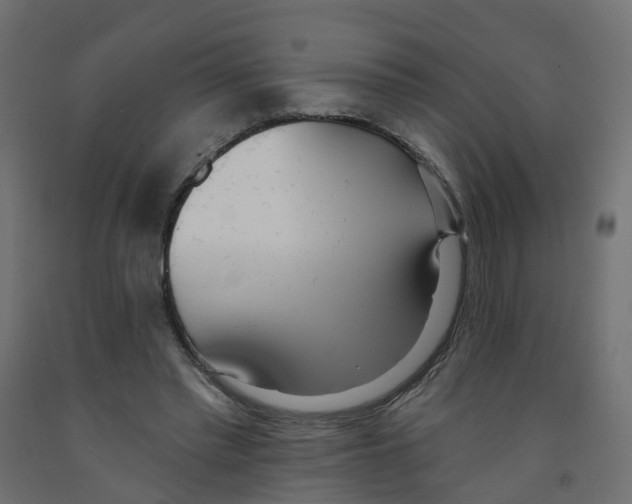 X0000091970397200710041053