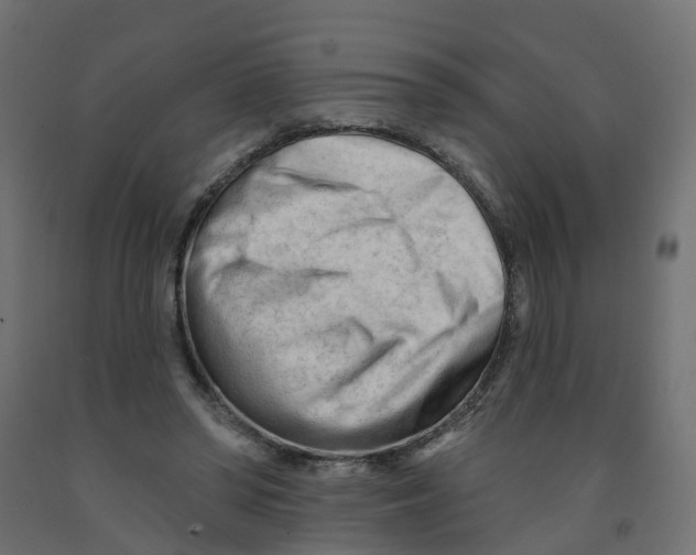X0000091970398200710041053