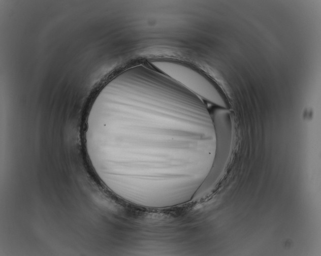 X0000091970399200710041053