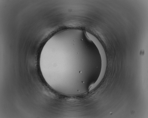 X0000091970400200710041053