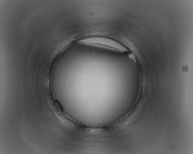 X0000091970401200710041053