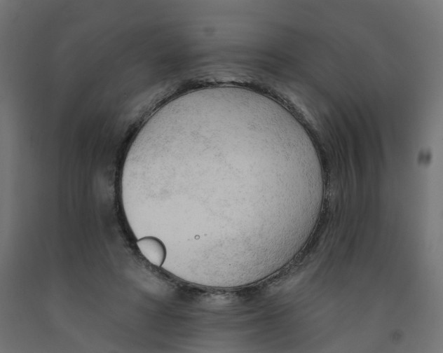 X0000091970402200710041053