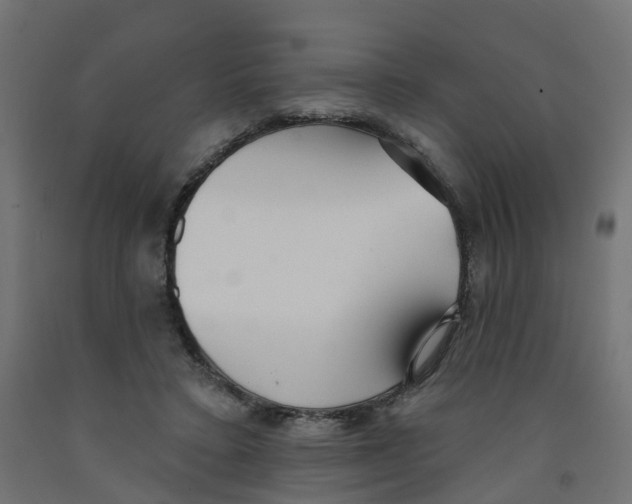 X0000091970403200710041053