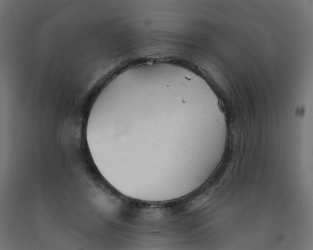 X0000091970404200710041053