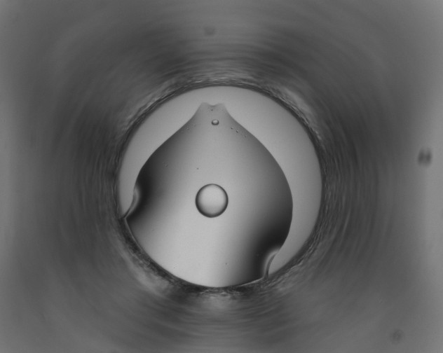 X0000091970405200710041053