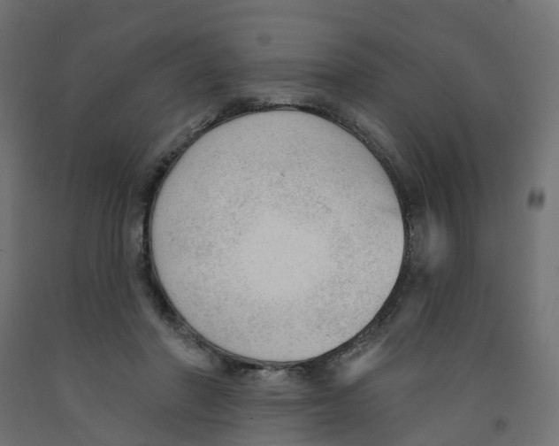 X0000091970406200710041053