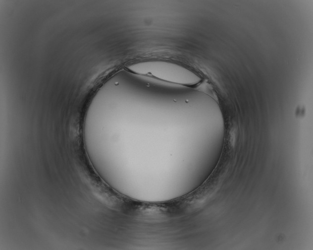 X0000091970407200710041053