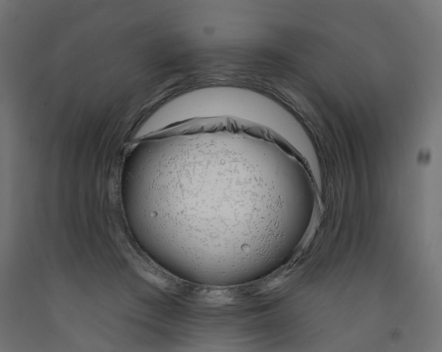 X0000091970409200710041053