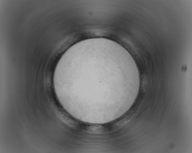 X0000091970410200710041053