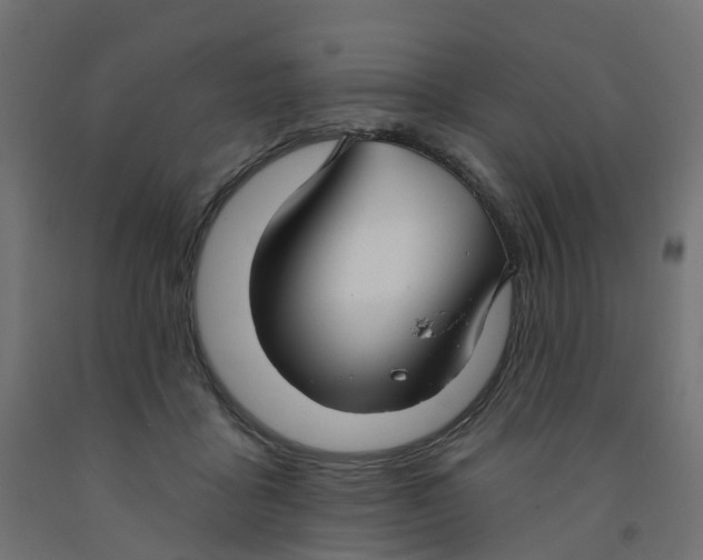 X0000091970411200710041053
