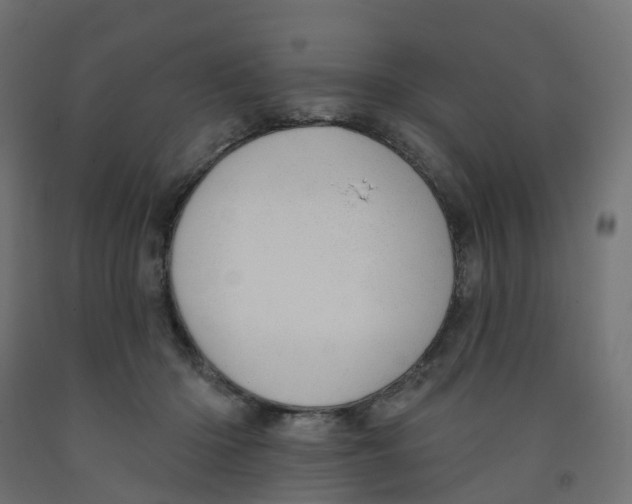 X0000091970414200710041053