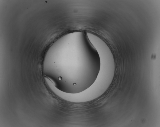 X0000091970415200710041053