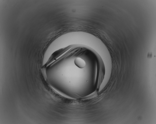 X0000091970416200710041053