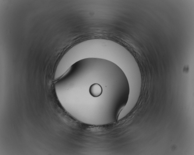 X0000091970417200710041053