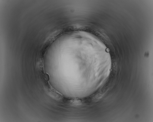 X0000091970419200710041053
