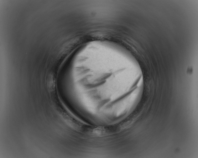X0000091970420200710041053